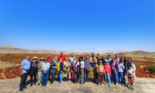 جشنواره برداشت زرشک اَفین-قائن